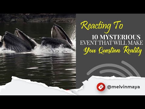 Melvin Maya Reacts to a Countdown of Strange Events That Keep Reality Feeling Unsteady
