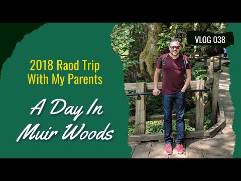 2018 Road Trip With My Parents A Day In Muir Woods