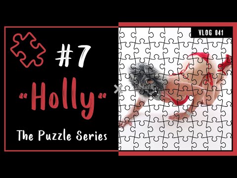 1000 Piece Jigsaw Puzzle 7 of 10 | Holly