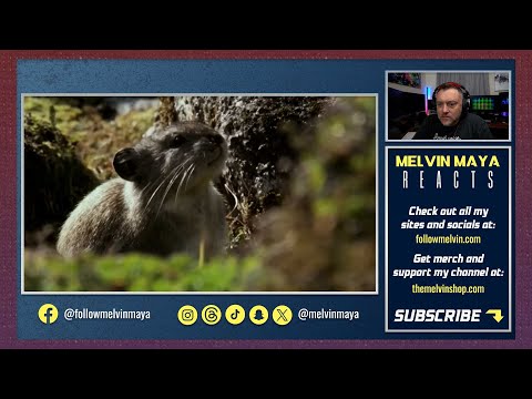 10 Strange Canadian Animals That Make a Simple Countdown Feel Surprisingly Specific