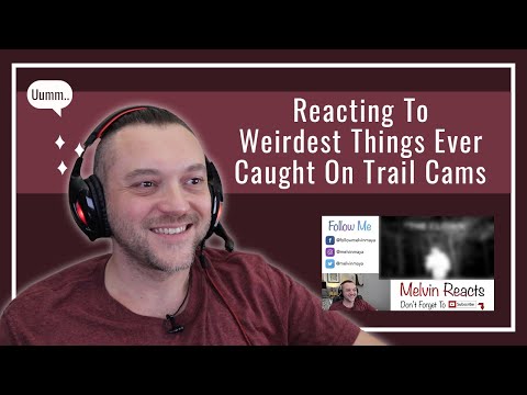 The Weirdest Trail Cam Clips Work Because They Keep Slipping Between Nature and a Prank
