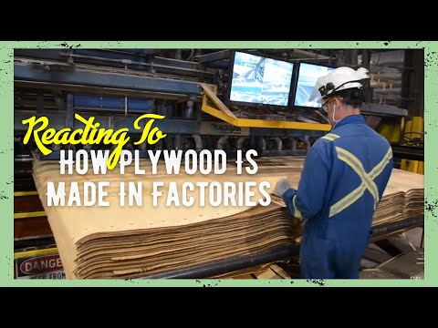 Reacting To How Plywood Is Made In Factories